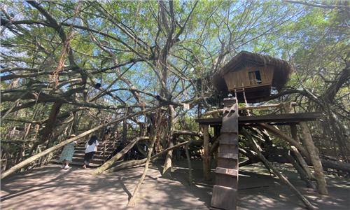 Theo dấu chân Voi VQG Yorkdon - Buôn Đôn