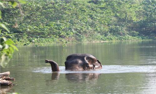 Tour Du thuyền sông Serepok VQG York Don