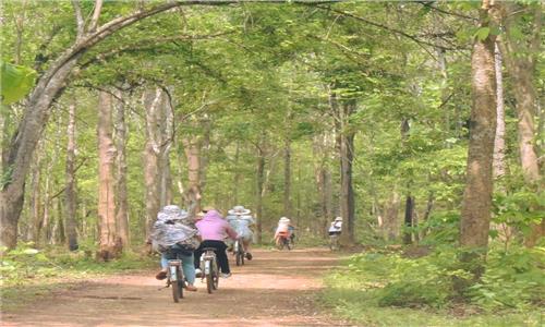 Tour nghỉ dưỡng Hồ Lak 2N1Đ 