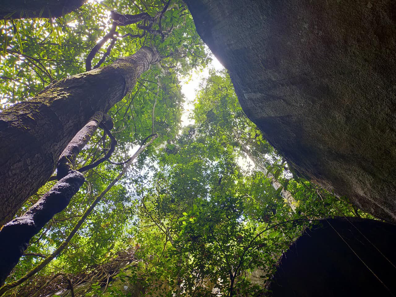 Trai nghiem tour trekking cung truc lam anh