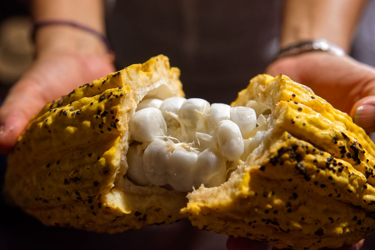 HÀNH TRÌNH NGÀY 2 - THAM QUAN BUÔN LÀNG MNONG - THƯỞNG THỨC CAFE